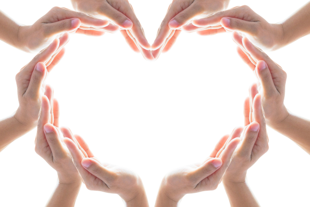 Heart shape woman people's hand collaboration isolated on white background